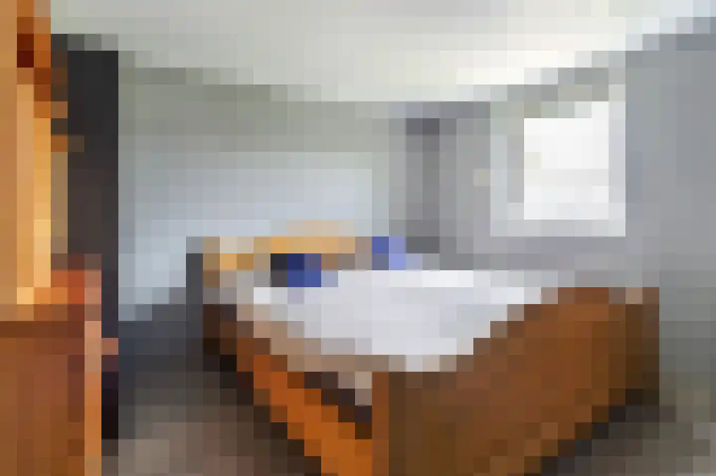 Bosschenhoofdsestraat 35 Bosschenhoofd thumbnail 25