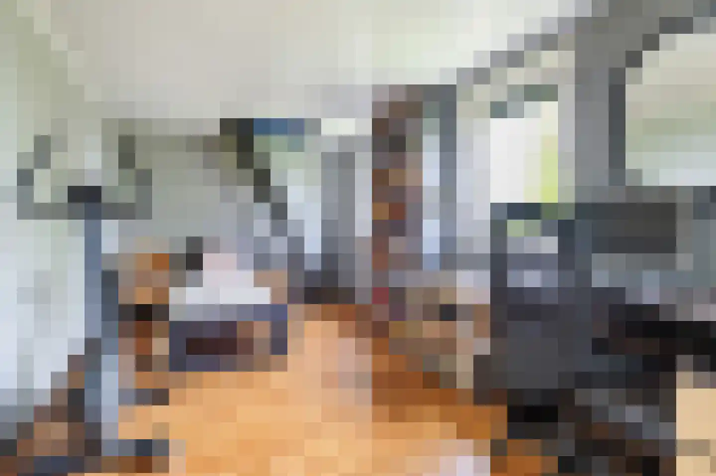 Bosschenhoofdsestraat 35 Bosschenhoofd thumbnail 28