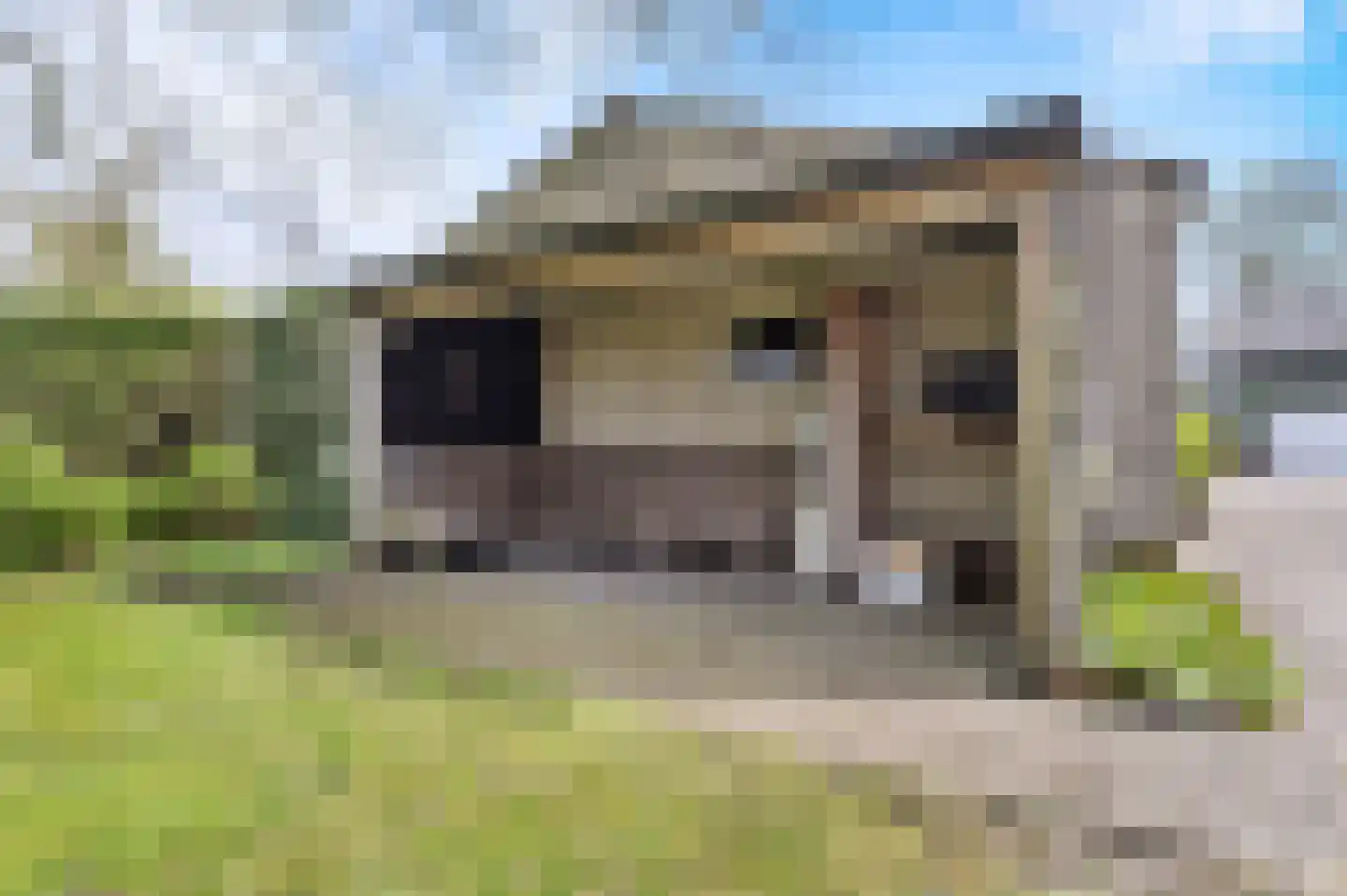 Bosschenhoofdsestraat 35 Bosschenhoofd thumbnail 34