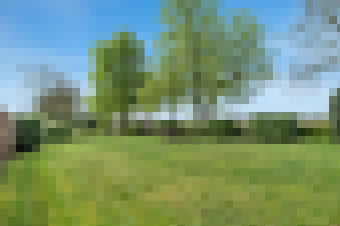 Bosschenhoofdsestraat 35 Bosschenhoofd thumbnail 37