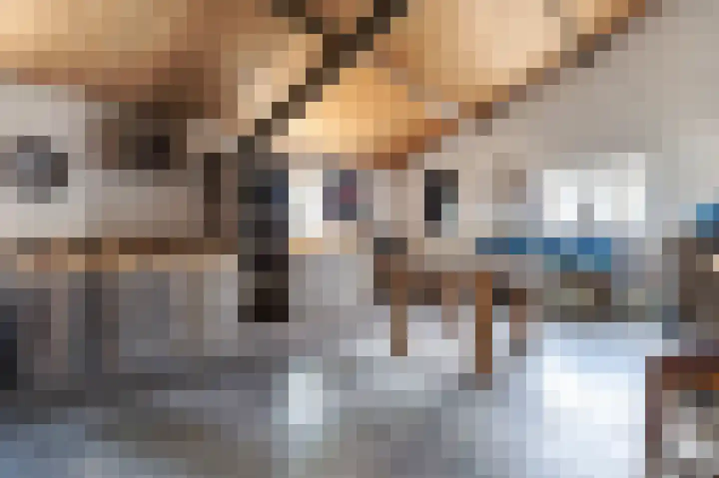 Bosschenhoofdsestraat 35 Bosschenhoofd thumbnail 41