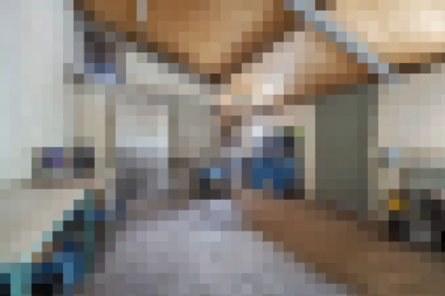 Bosschenhoofdsestraat 35 Bosschenhoofd thumbnail 42