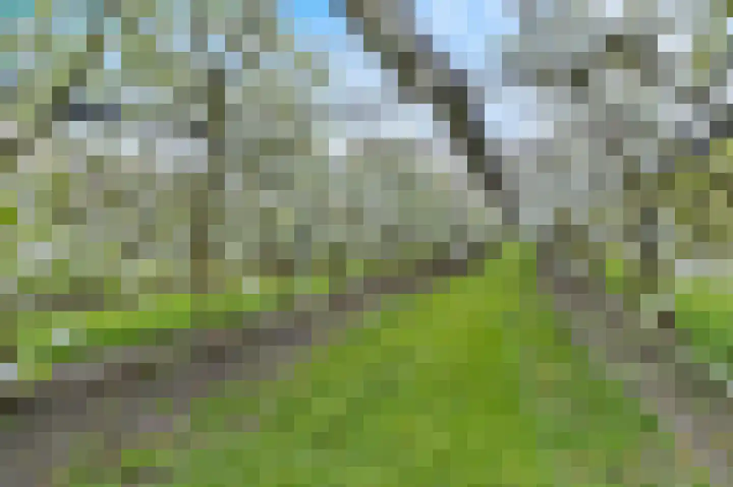 Bosschenhoofdsestraat 35 Bosschenhoofd thumbnail 50