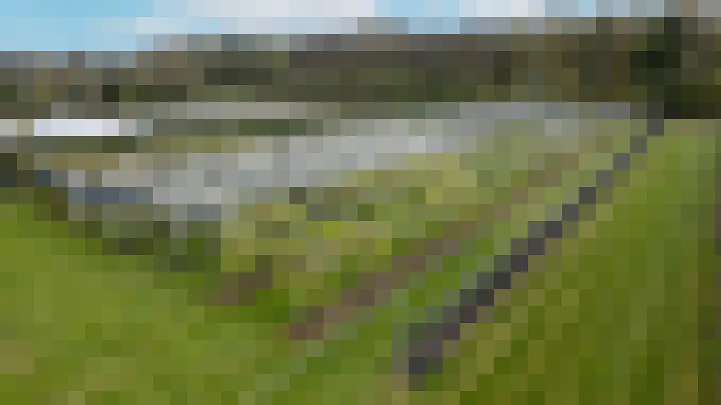 Bosschenhoofdsestraat 35 Bosschenhoofd thumbnail 53