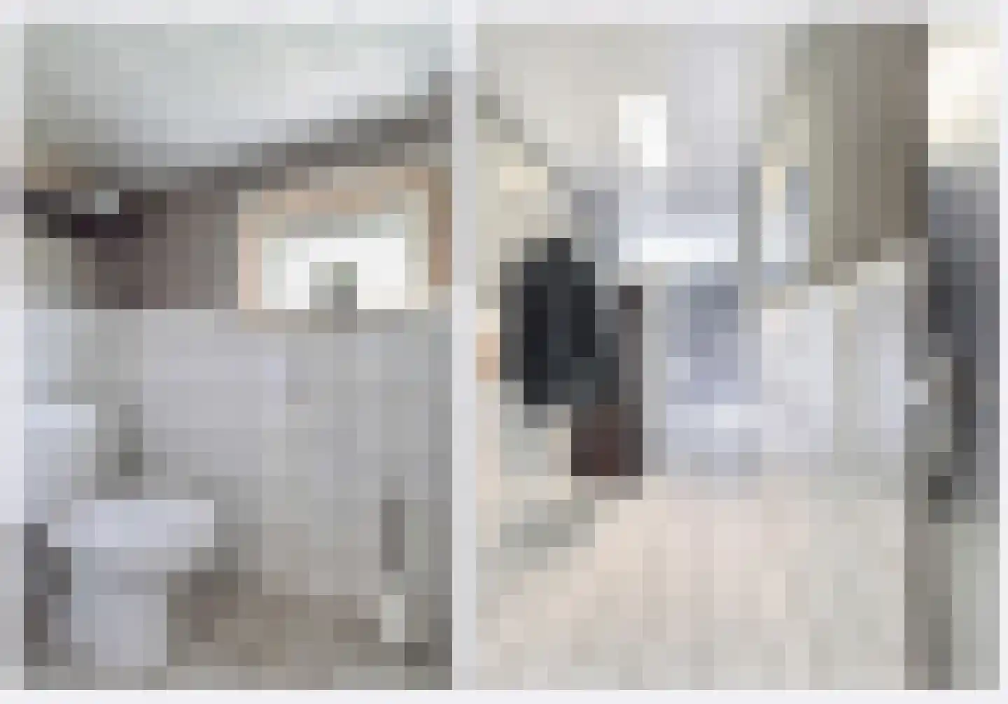 Bosschenhoofdsestraat 35 Bosschenhoofd thumbnail 7