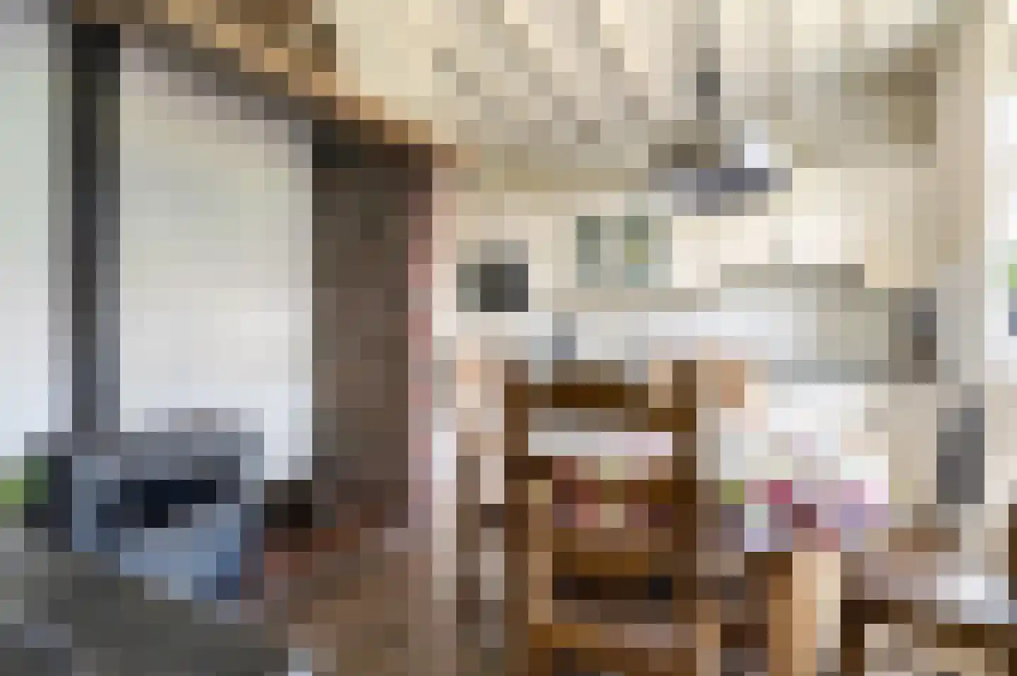 Bosschenhoofdsestraat 35 Bosschenhoofd thumbnail 8