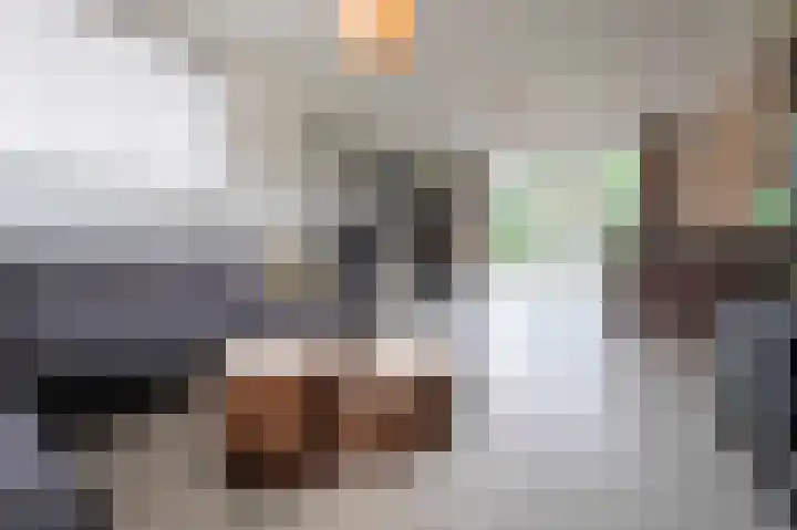 Bosschenhoofdsestraat 6 a Bosschenhoofd thumbnail 14