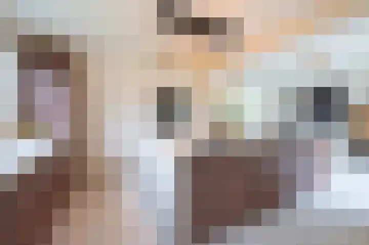 Bosschenhoofdsestraat 6 a Bosschenhoofd thumbnail 17