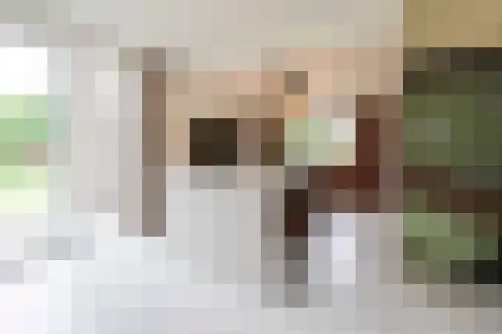 Bosschenhoofdsestraat 6 a Bosschenhoofd thumbnail 18