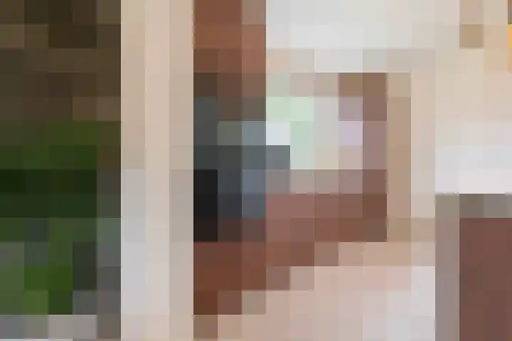 Bosschenhoofdsestraat 6 a Bosschenhoofd thumbnail 20