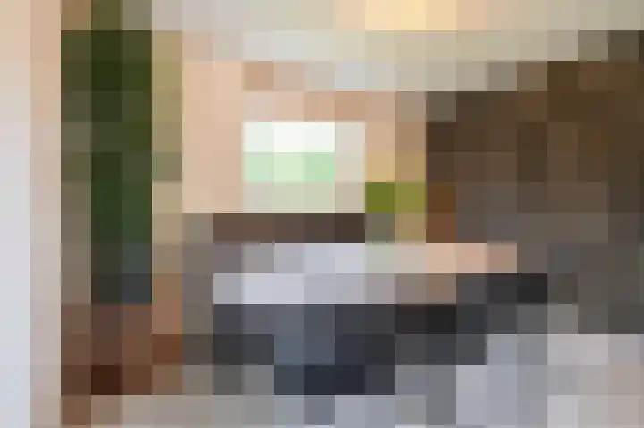 Bosschenhoofdsestraat 6 a Bosschenhoofd thumbnail 21