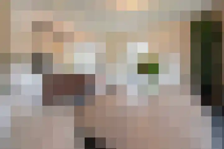 Bosschenhoofdsestraat 6 a Bosschenhoofd thumbnail 22