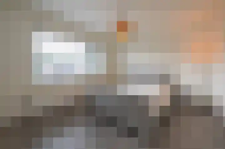 Bosschenhoofdsestraat 6 a Bosschenhoofd thumbnail 30