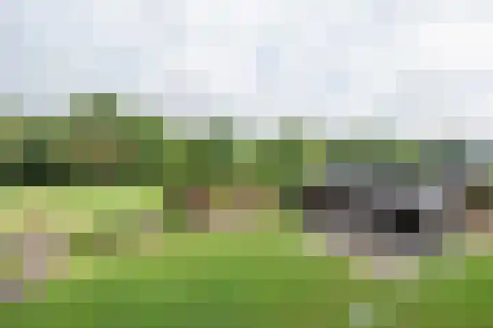 Bosschenhoofdsestraat 6 a Bosschenhoofd thumbnail 41