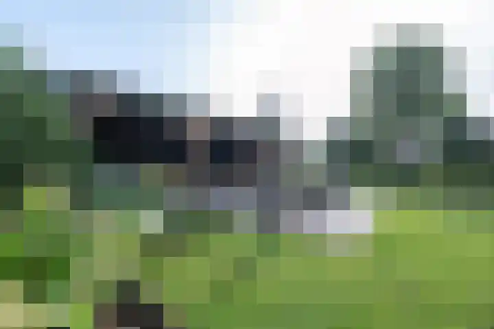 Bosschenhoofdsestraat 6 a Bosschenhoofd thumbnail 42