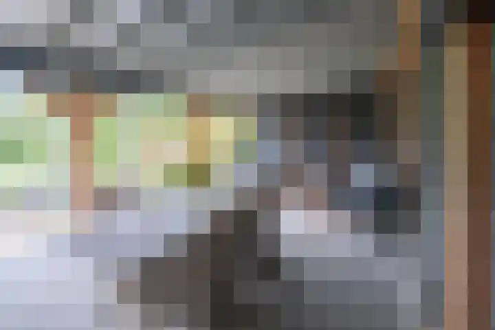 Bosschenhoofdsestraat 6 a Bosschenhoofd thumbnail 43