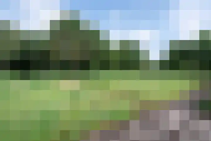 Bosschenhoofdsestraat 6 a Bosschenhoofd thumbnail 48