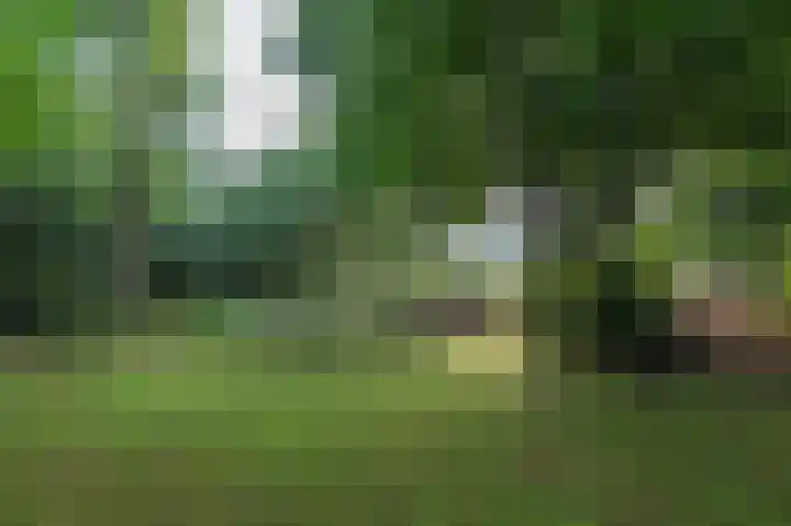 Bosschenhoofdsestraat 6 a Bosschenhoofd thumbnail 50