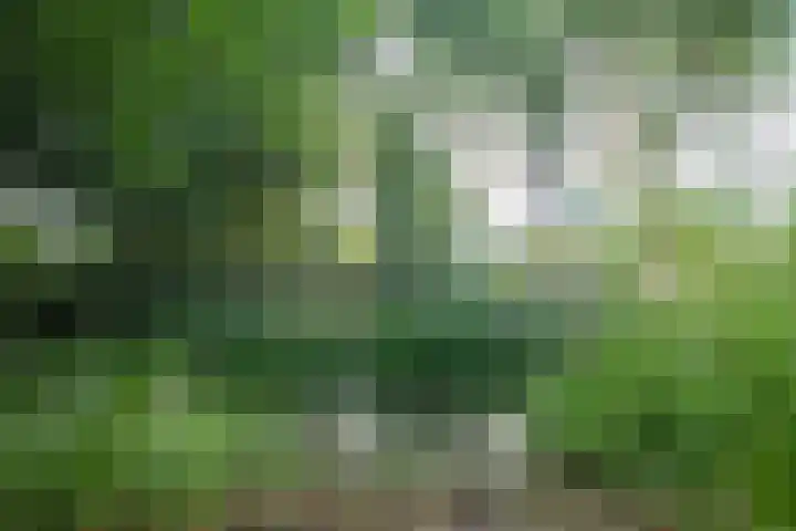 Bosschenhoofdsestraat 6 a Bosschenhoofd thumbnail 52