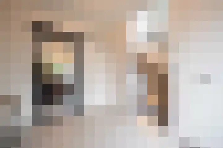 Bosschenhoofdsestraat 6 a Bosschenhoofd thumbnail 7
