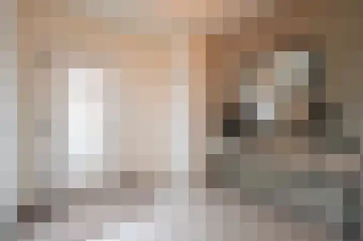 Bosschenhoofdsestraat 6 a Bosschenhoofd thumbnail 8
