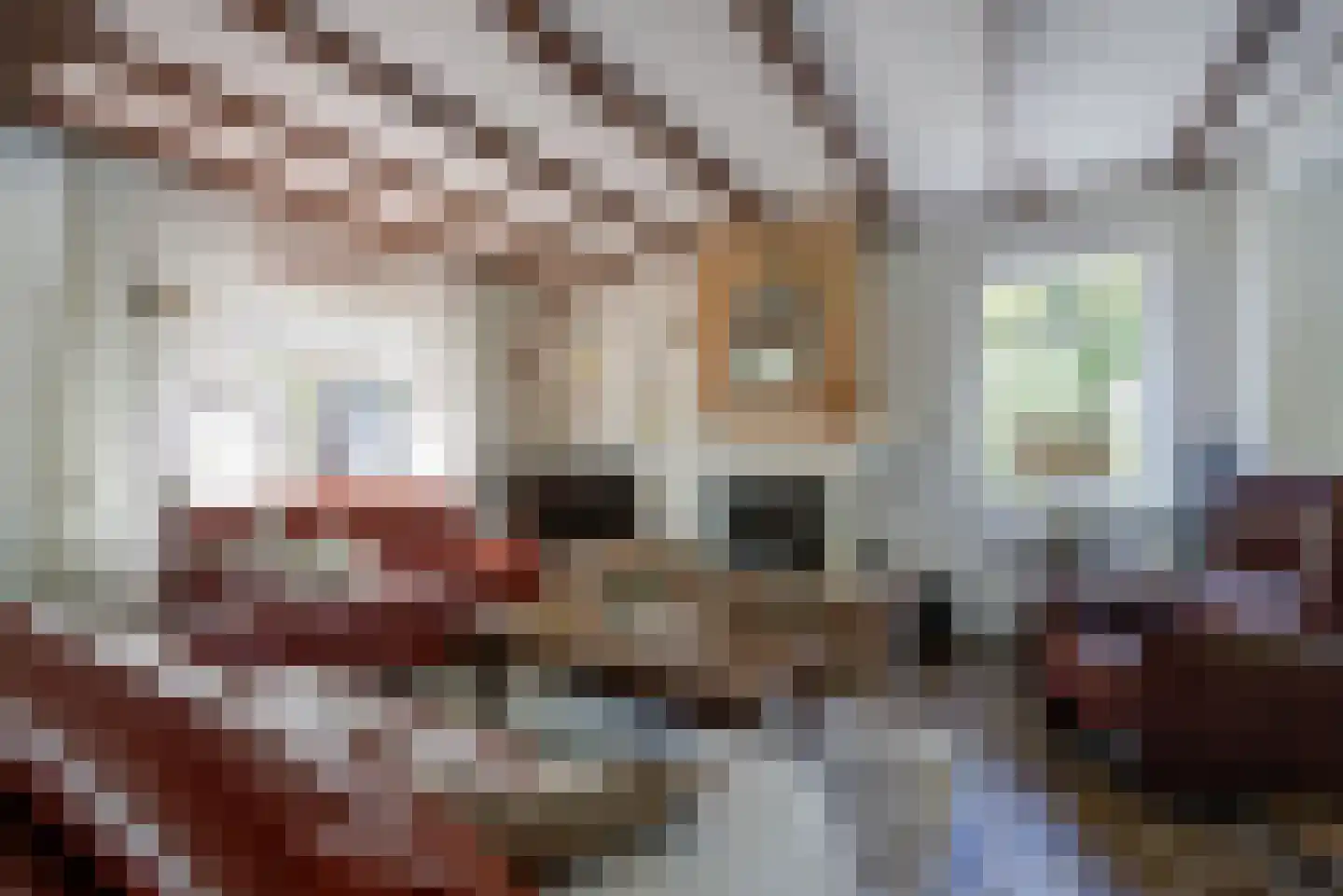 Bosschenhoofdsestraat 8 Bosschenhoofd thumbnail 10