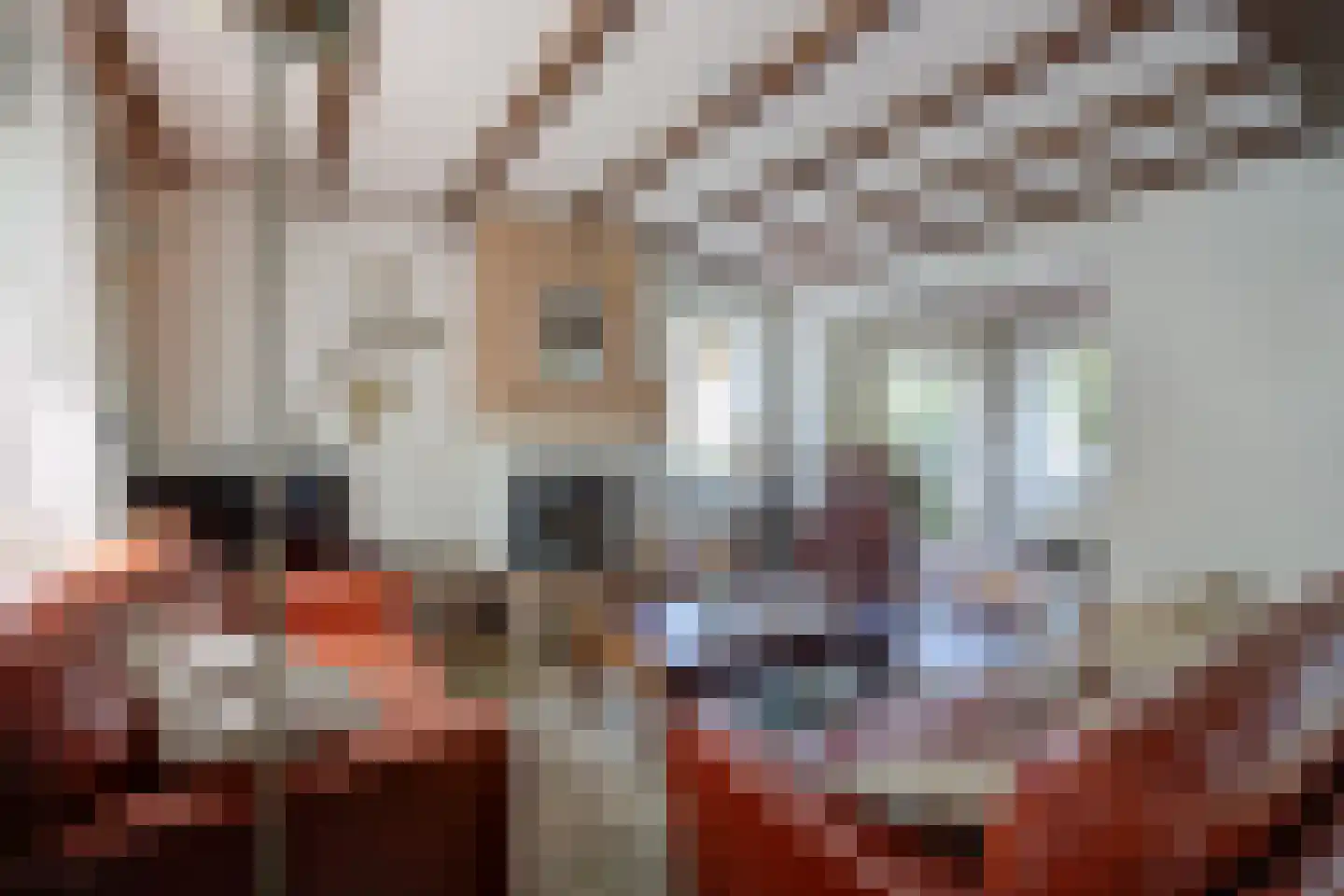 Bosschenhoofdsestraat 8 Bosschenhoofd thumbnail 11