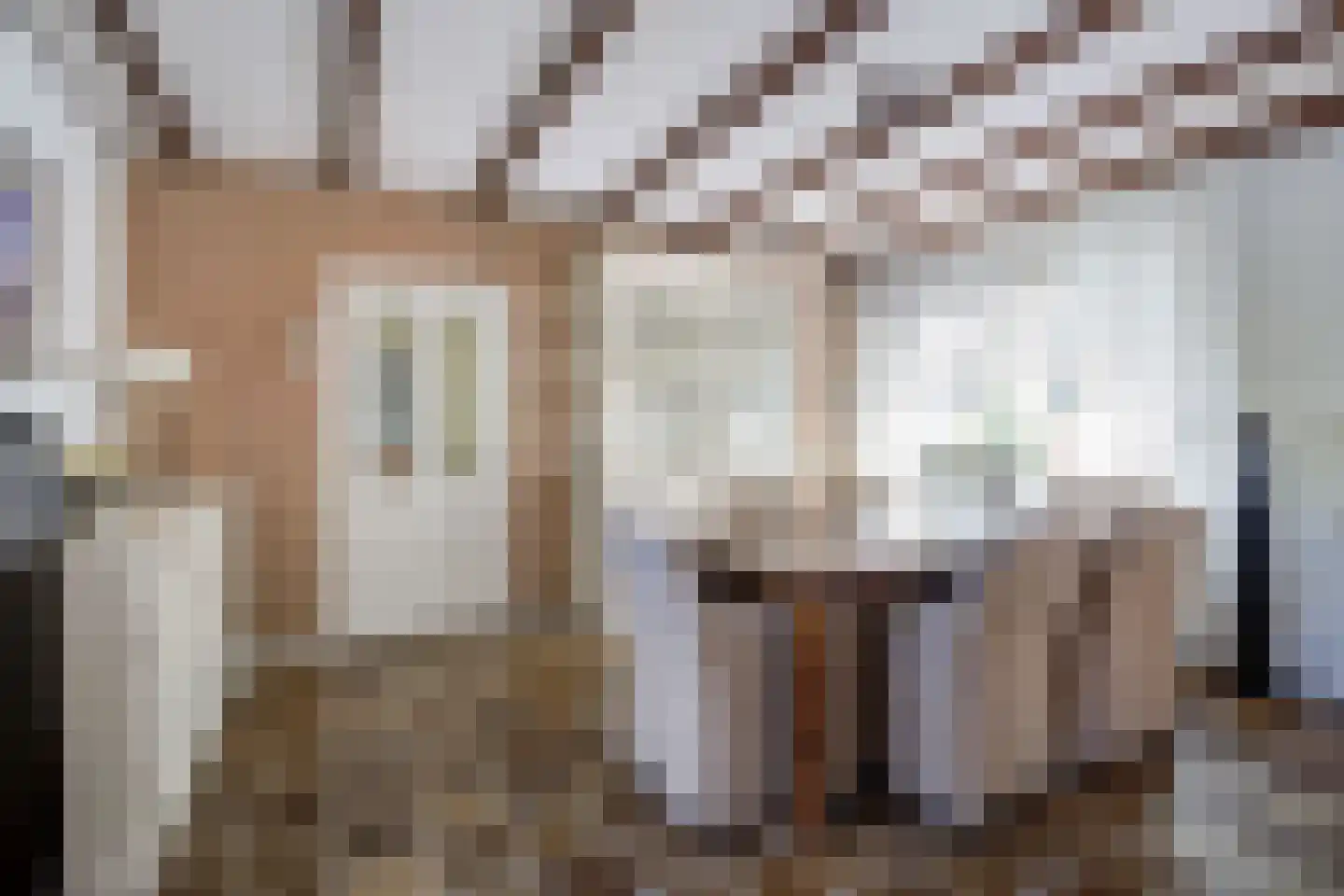 Bosschenhoofdsestraat 8 Bosschenhoofd thumbnail 14