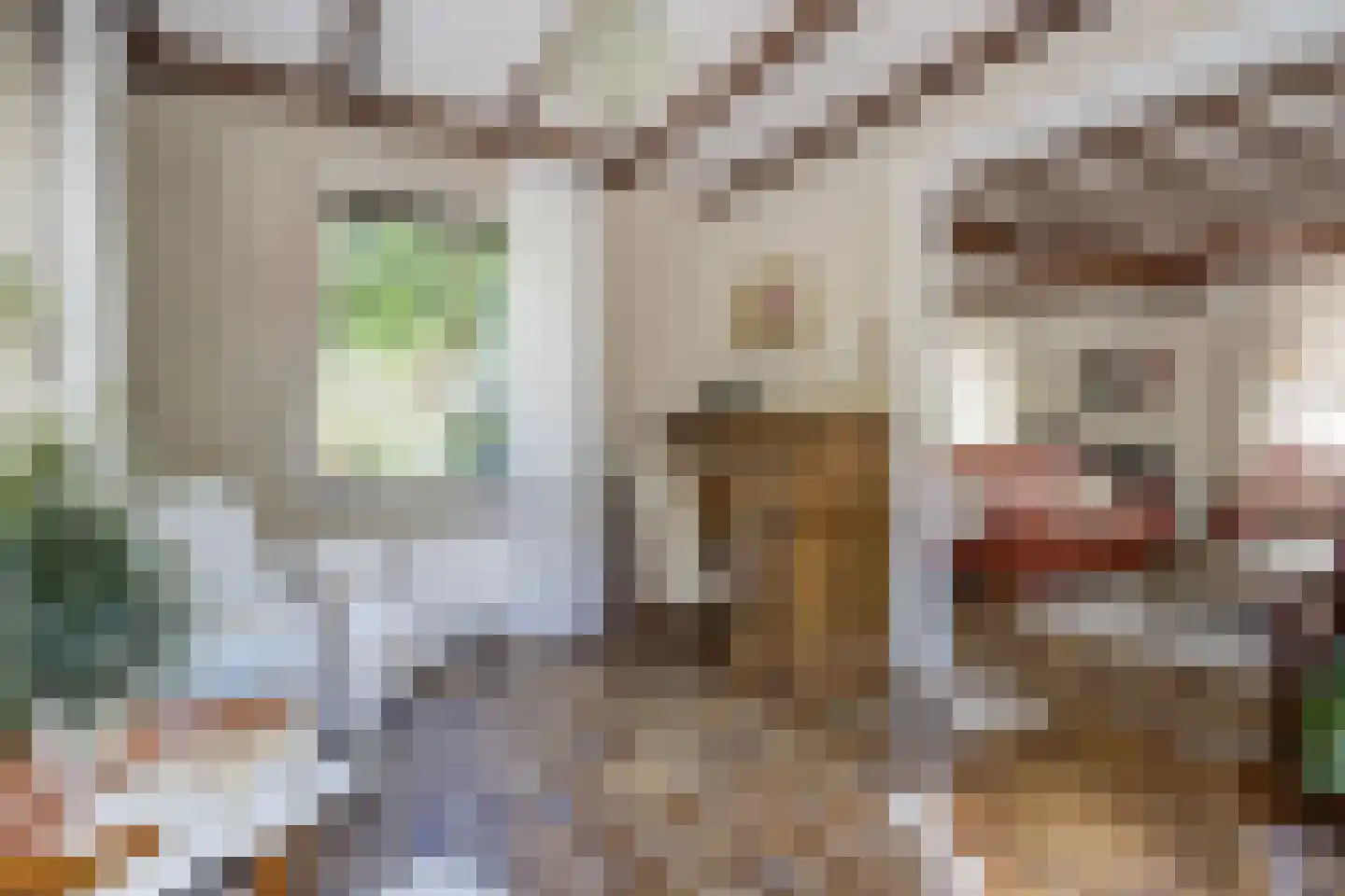 Bosschenhoofdsestraat 8 Bosschenhoofd thumbnail 16