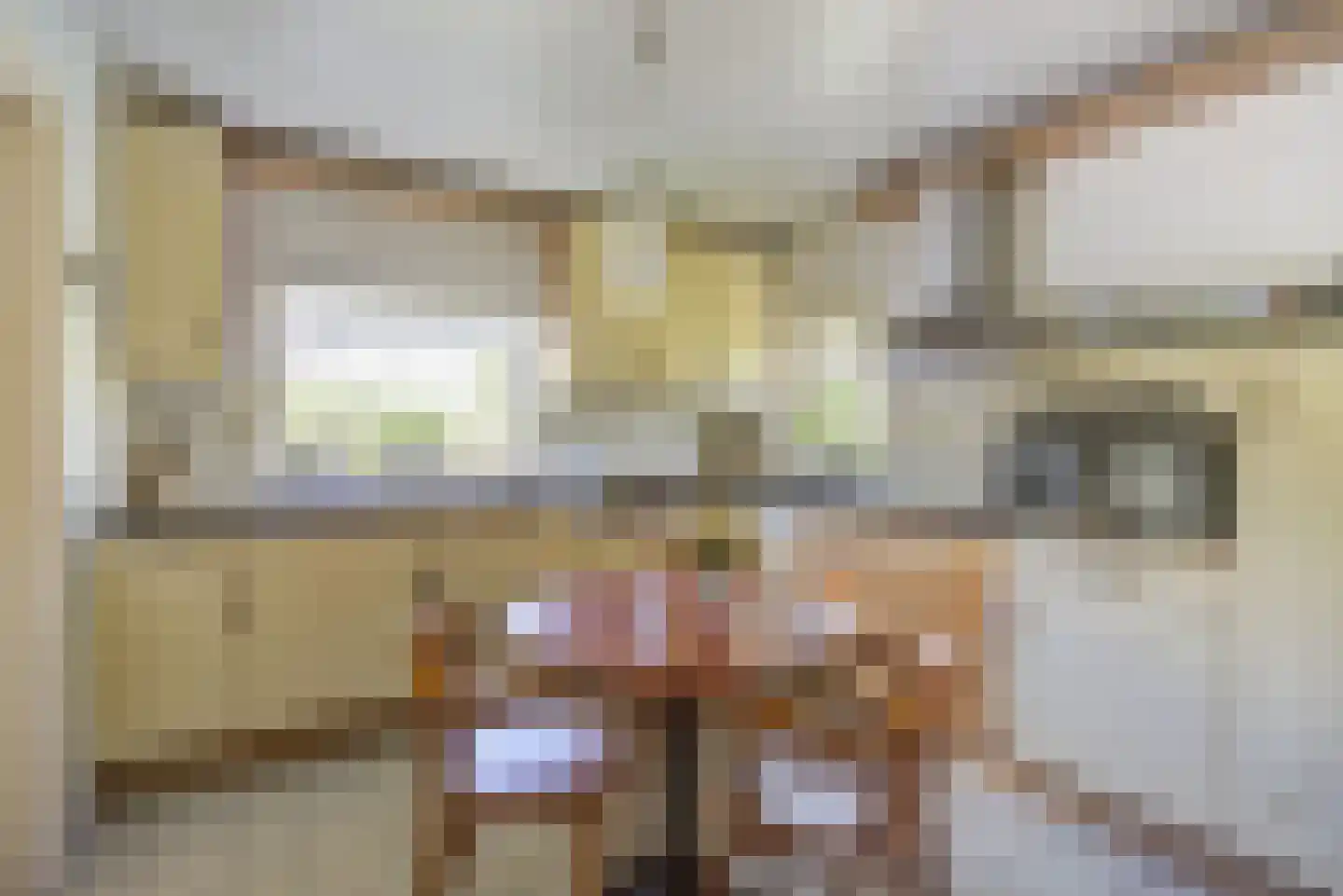 Bosschenhoofdsestraat 8 Bosschenhoofd thumbnail 17