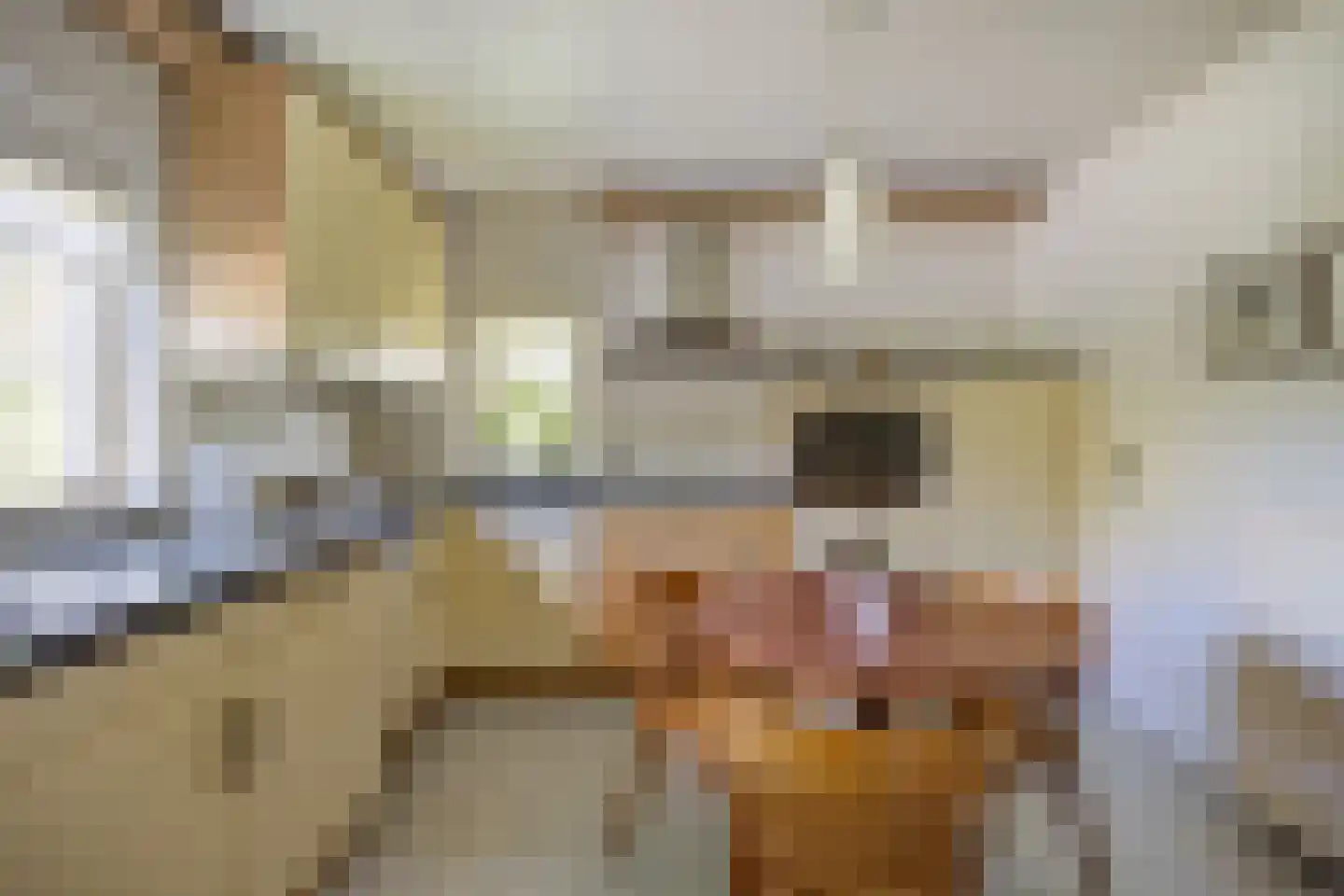 Bosschenhoofdsestraat 8 Bosschenhoofd thumbnail 18