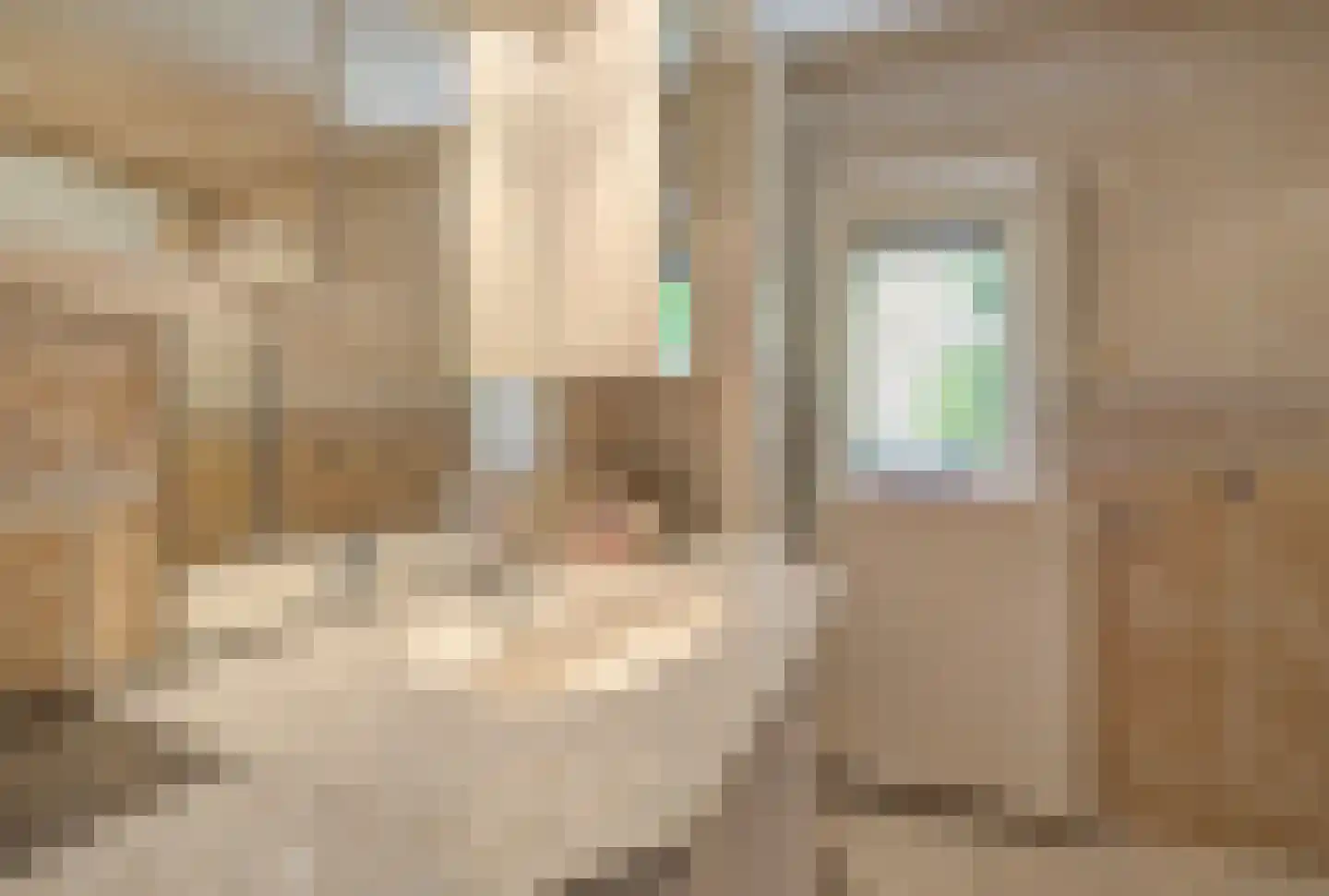 Bosschenhoofdsestraat 8 Bosschenhoofd thumbnail 22