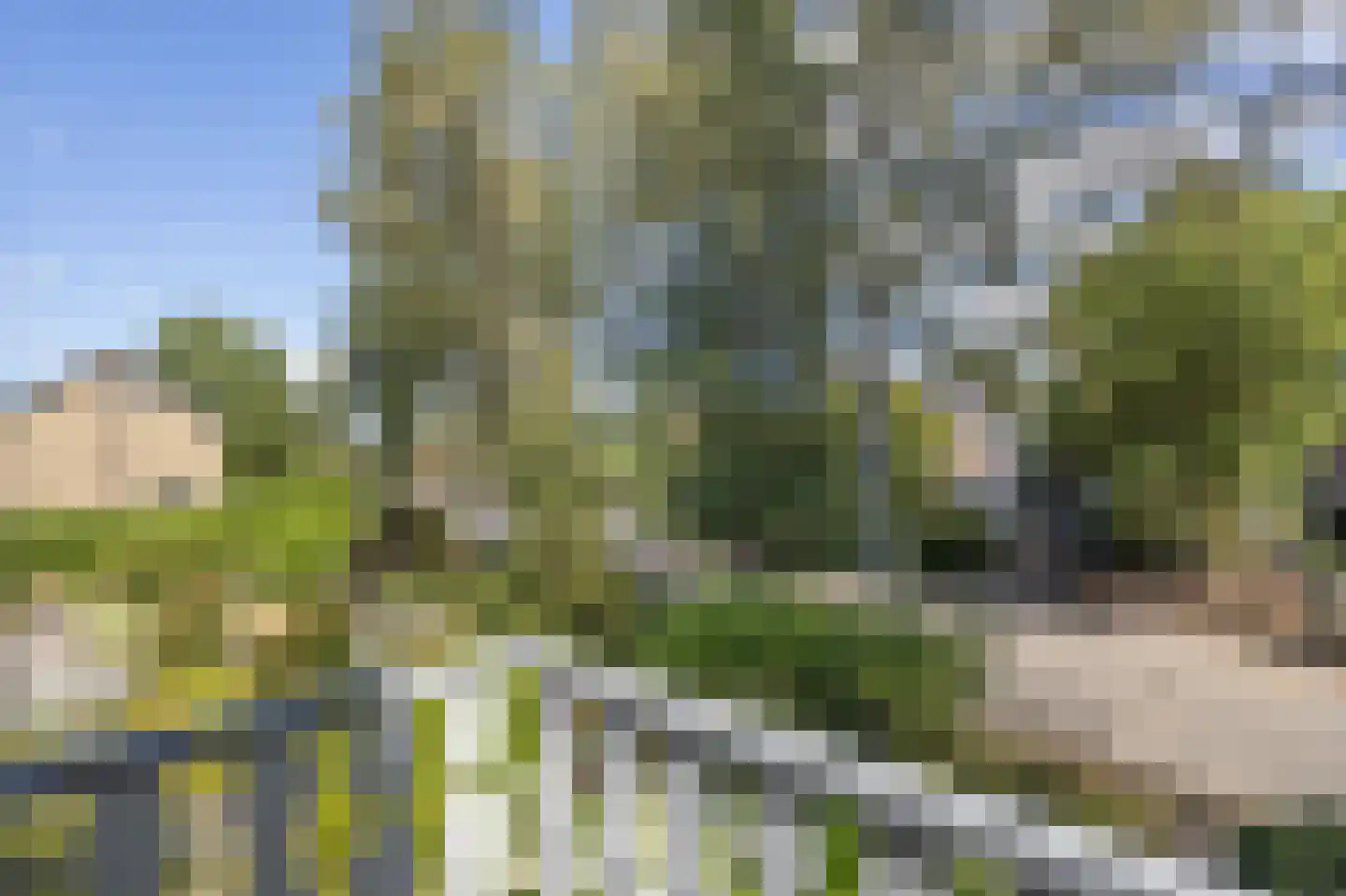 Bosschenhoofdsestraat 8 Bosschenhoofd thumbnail 30