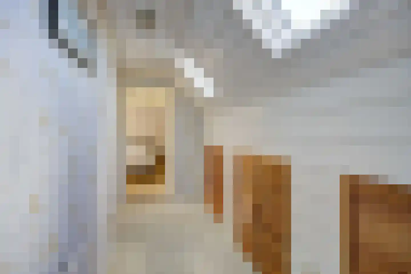 Bosschenhoofdsestraat 8 Bosschenhoofd thumbnail 31