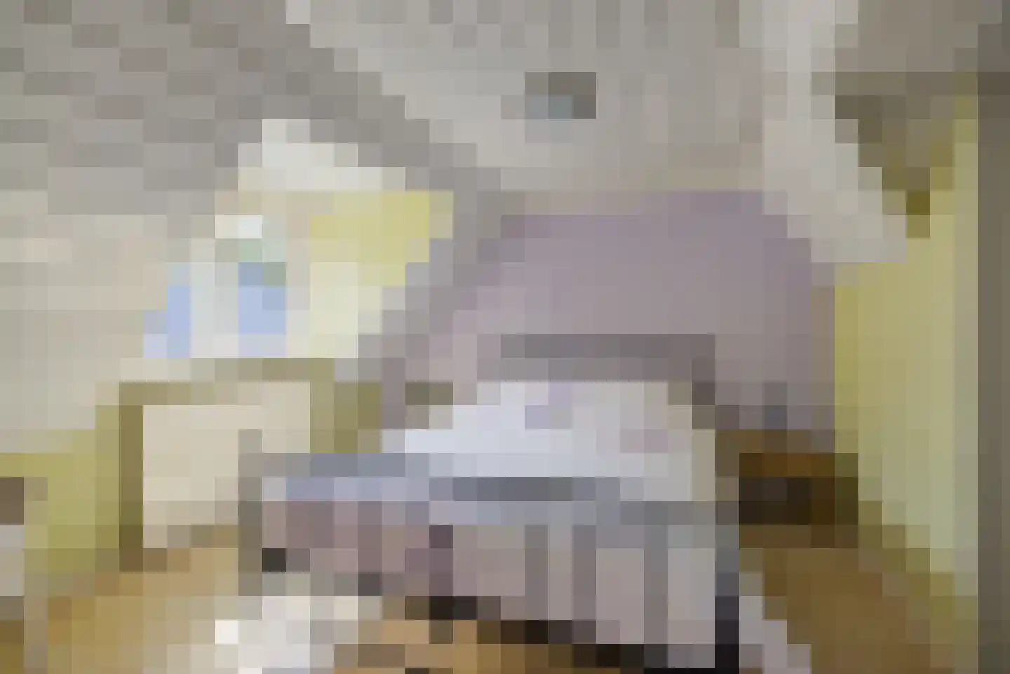 Bosschenhoofdsestraat 8 Bosschenhoofd thumbnail 32