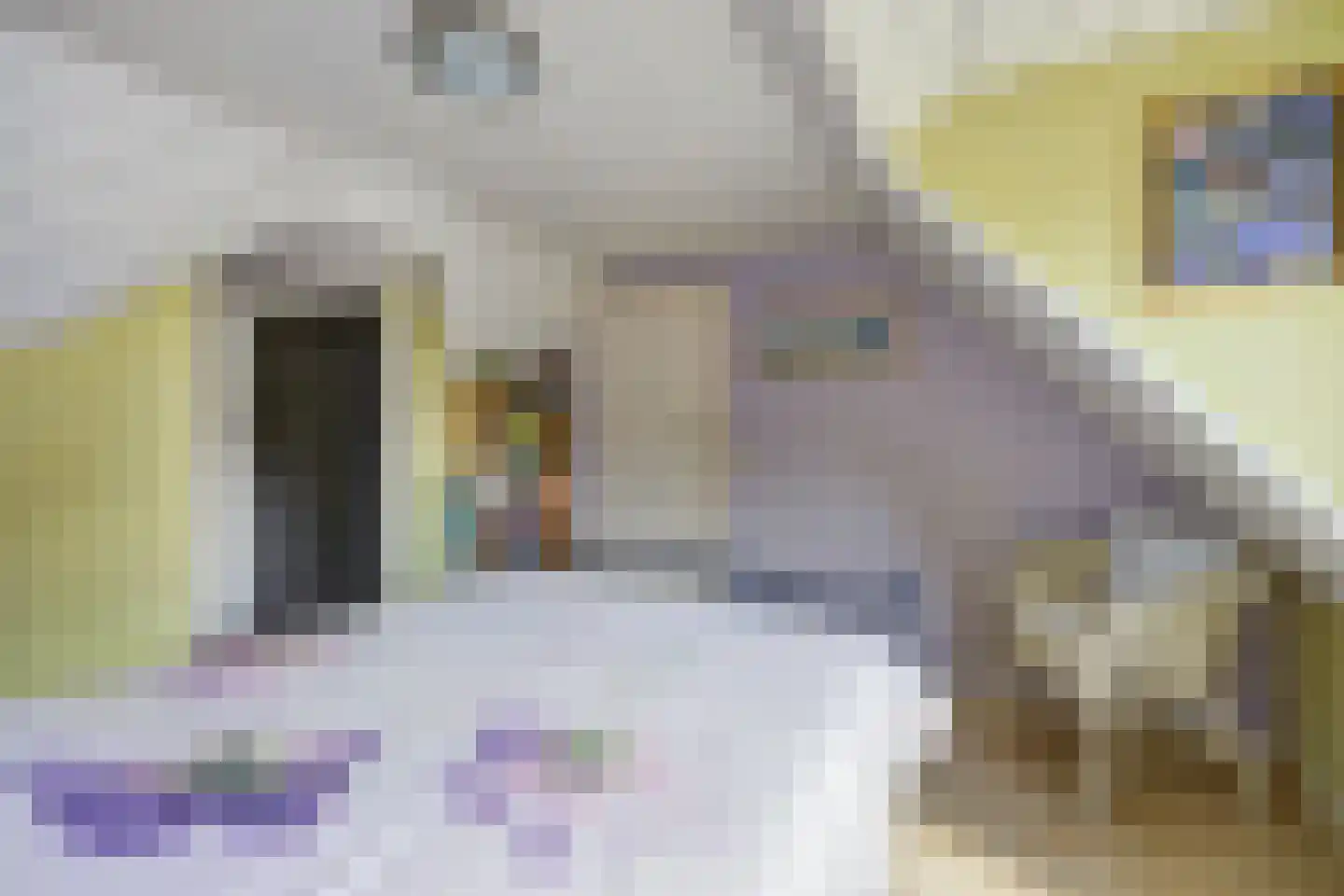 Bosschenhoofdsestraat 8 Bosschenhoofd thumbnail 33
