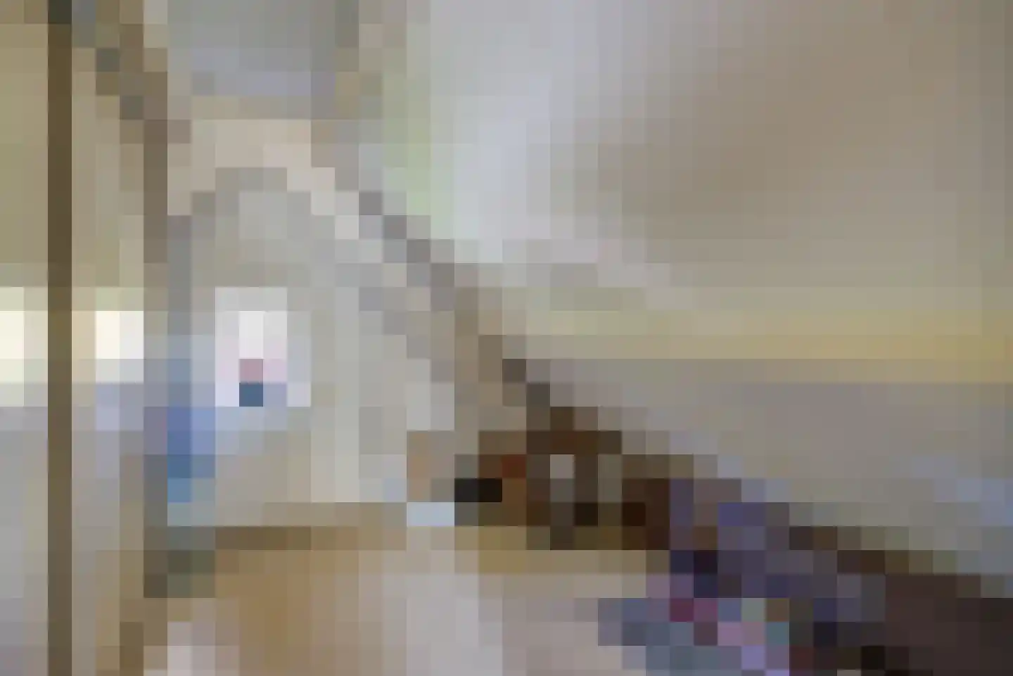 Bosschenhoofdsestraat 8 Bosschenhoofd thumbnail 34