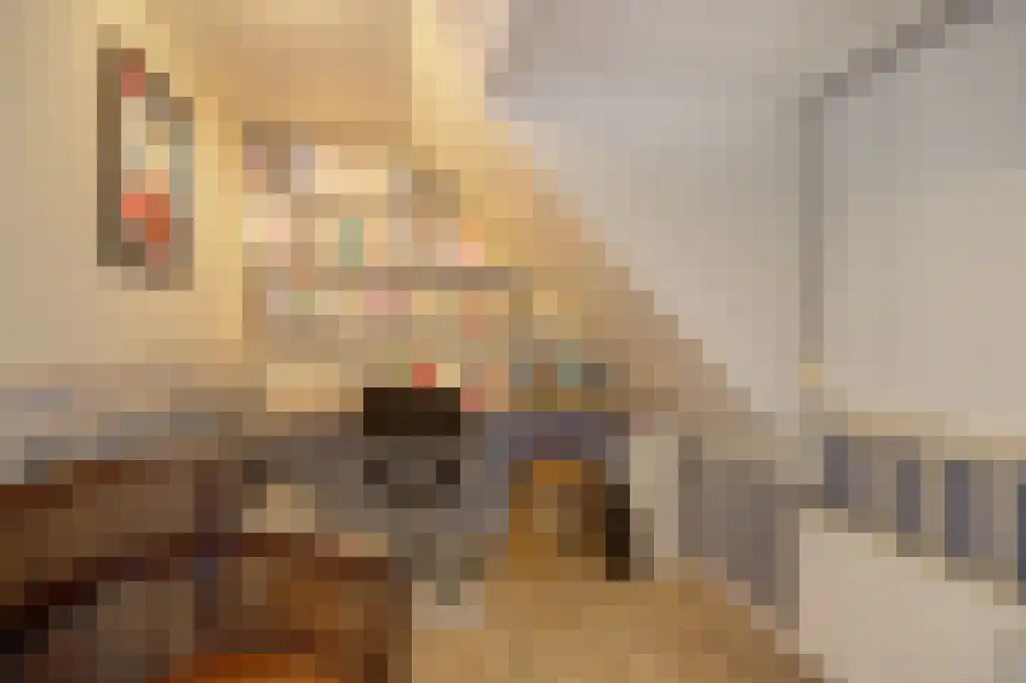 Bosschenhoofdsestraat 8 Bosschenhoofd thumbnail 35