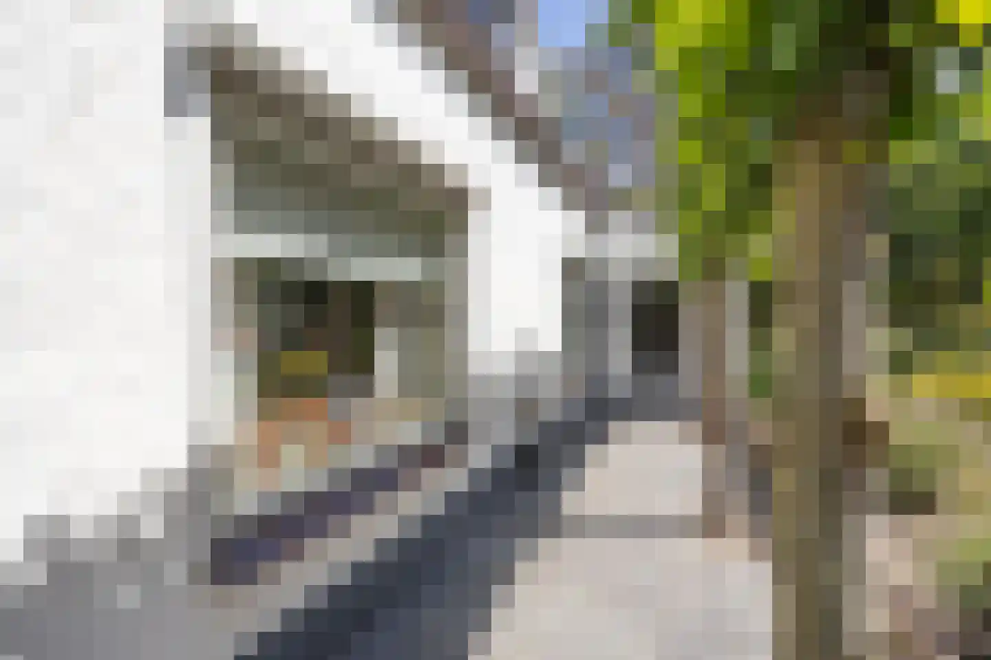 Bosschenhoofdsestraat 8 Bosschenhoofd thumbnail 37