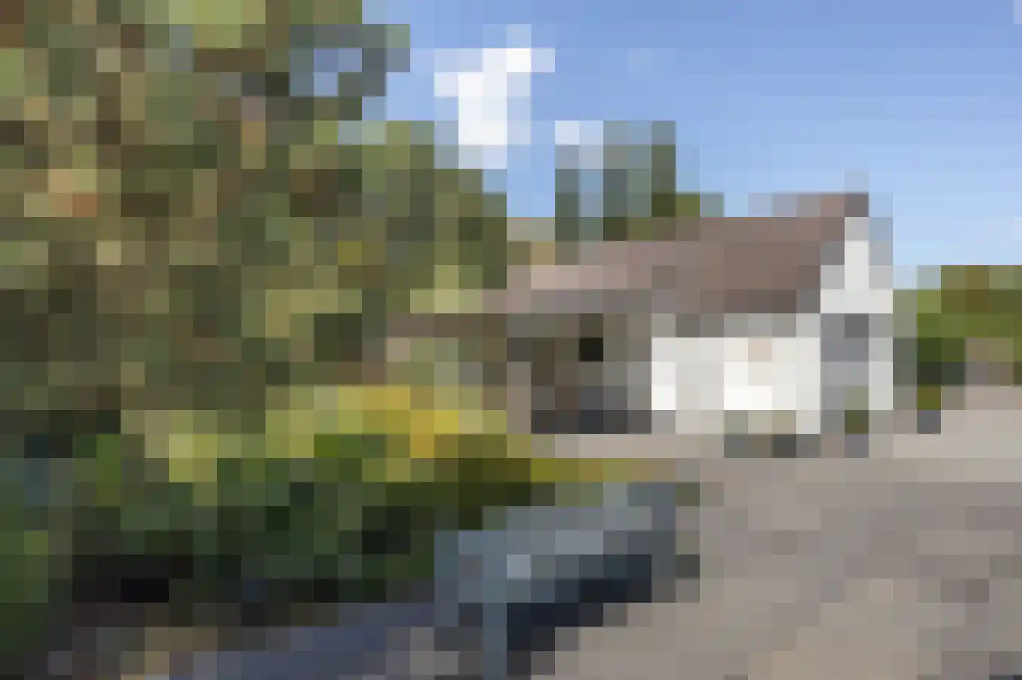 Bosschenhoofdsestraat 8 Bosschenhoofd thumbnail 4