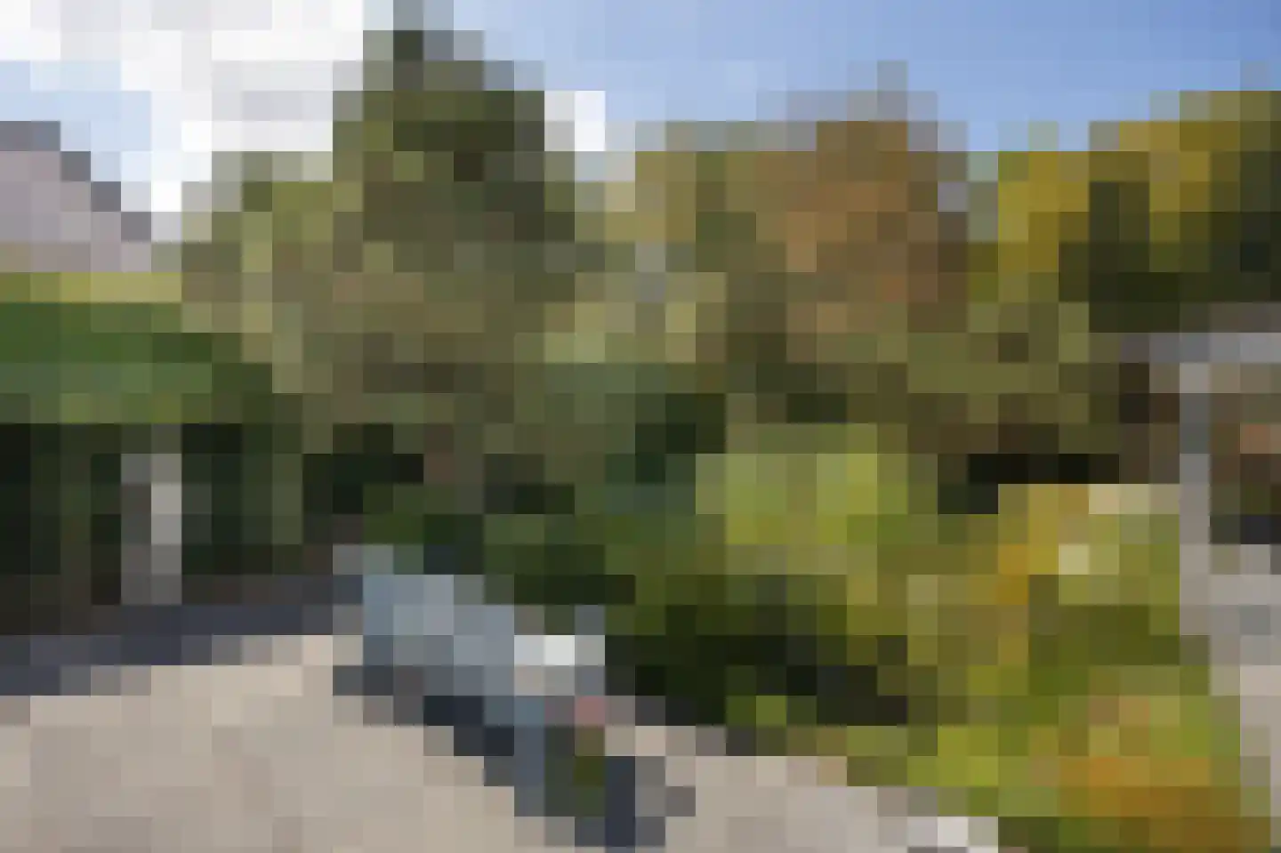 Bosschenhoofdsestraat 8 Bosschenhoofd thumbnail 41