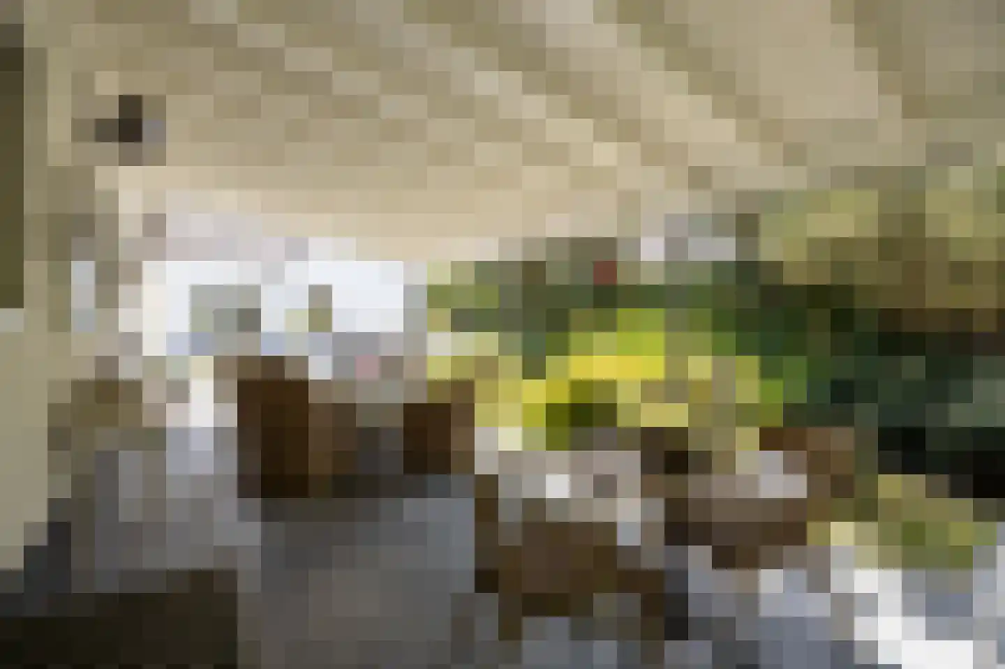 Bosschenhoofdsestraat 8 Bosschenhoofd thumbnail 43