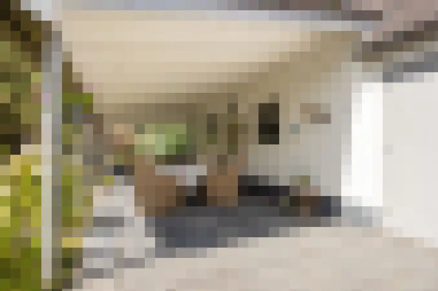 Bosschenhoofdsestraat 8 Bosschenhoofd thumbnail 44