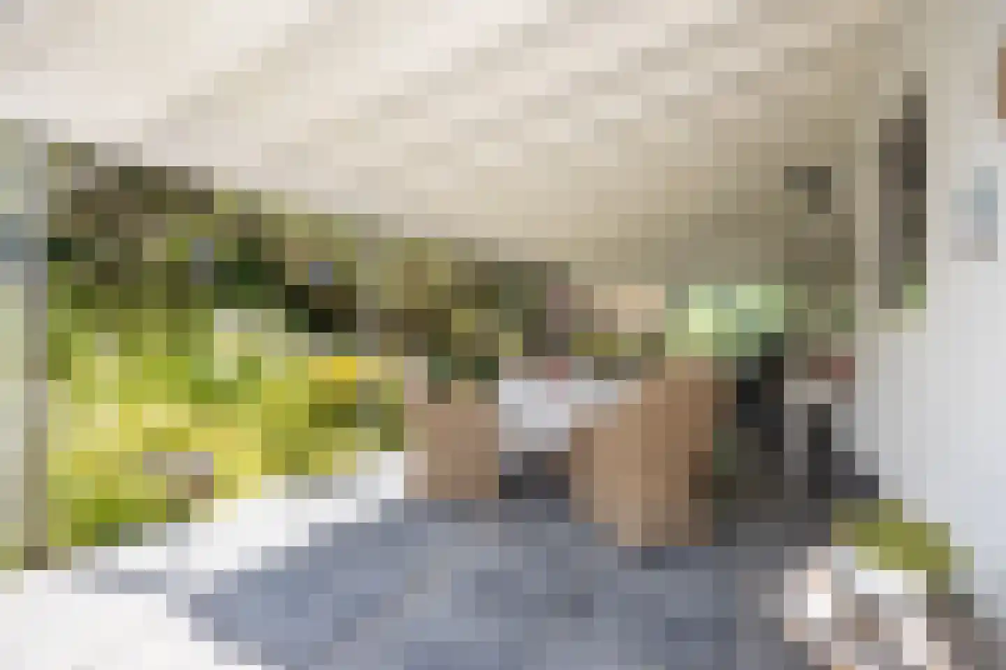 Bosschenhoofdsestraat 8 Bosschenhoofd thumbnail 45