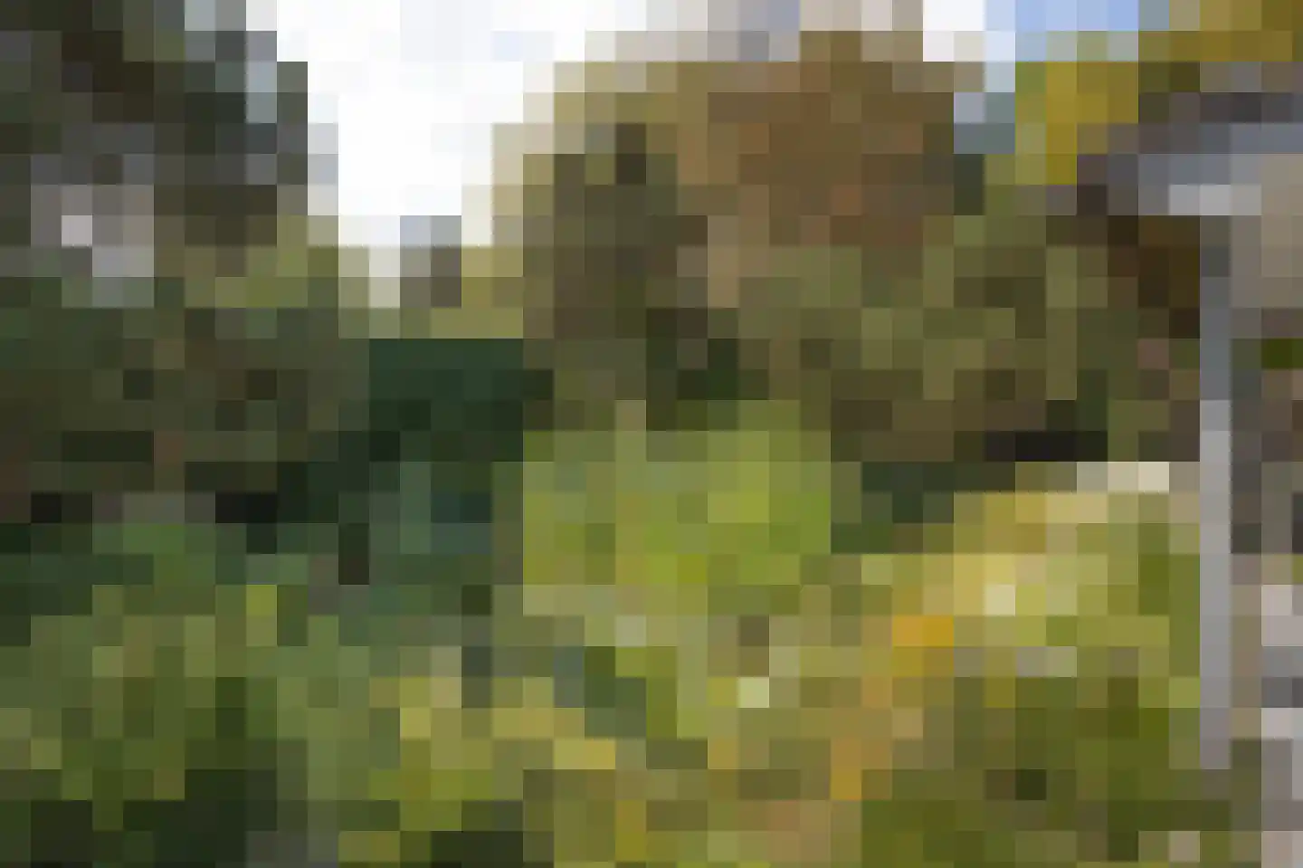 Bosschenhoofdsestraat 8 Bosschenhoofd thumbnail 46