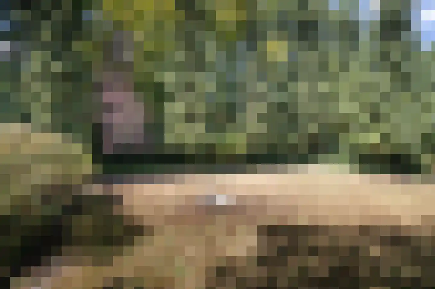 Bosschenhoofdsestraat 8 Bosschenhoofd thumbnail 47