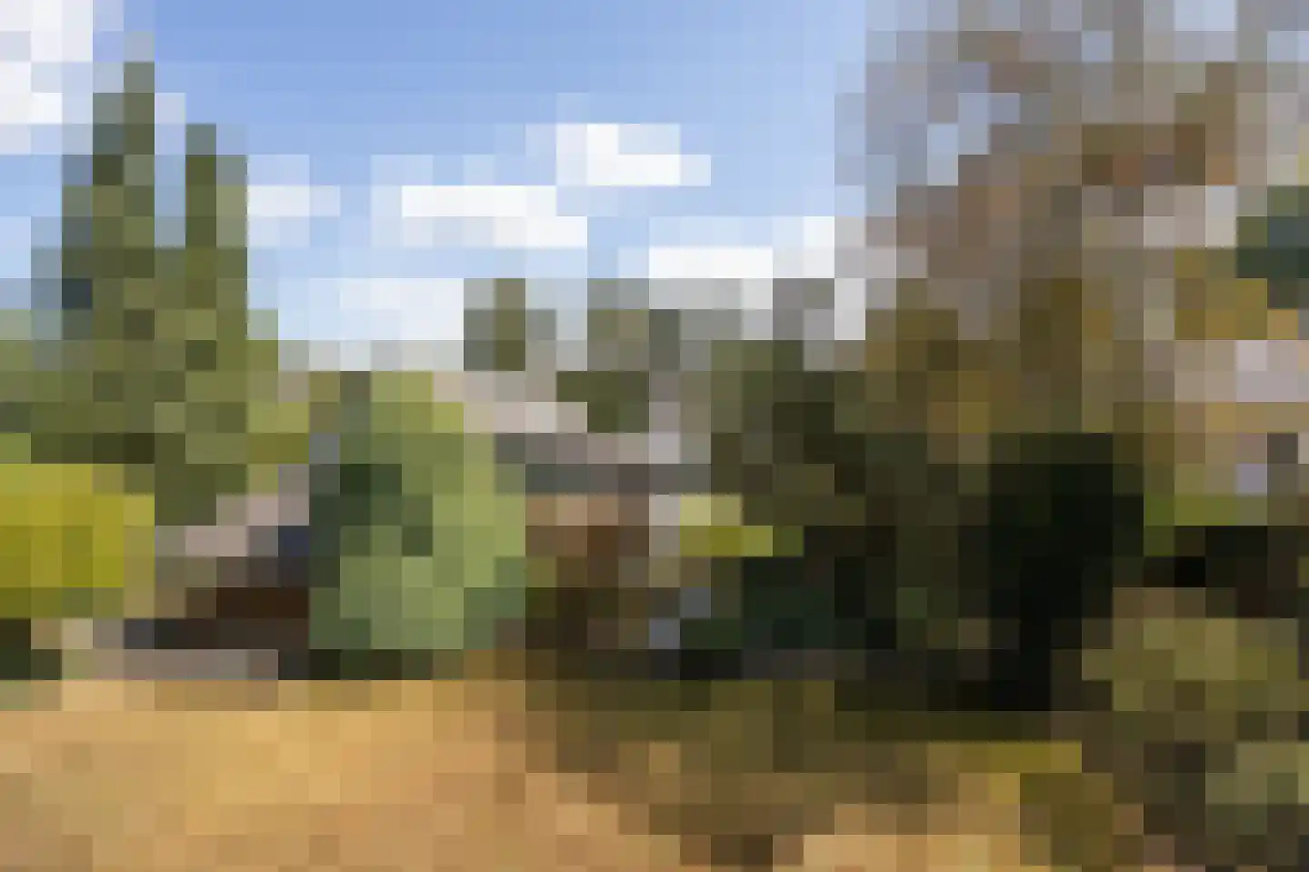 Bosschenhoofdsestraat 8 Bosschenhoofd thumbnail 49