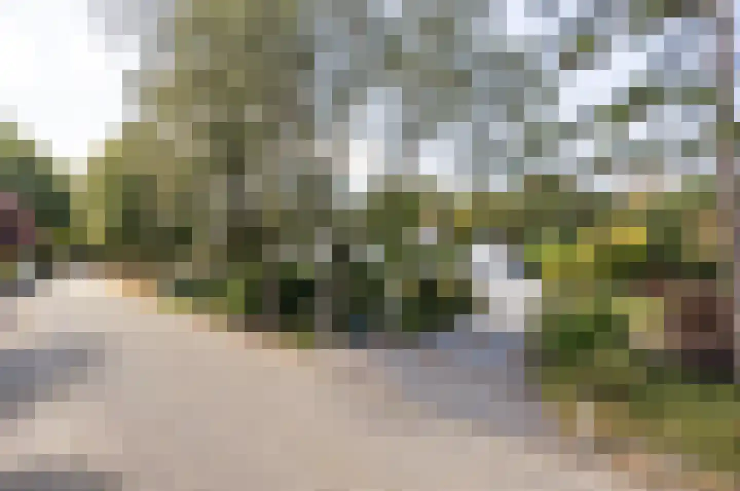 Bosschenhoofdsestraat 8 Bosschenhoofd thumbnail 57