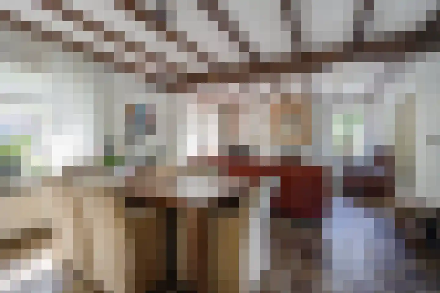 Bosschenhoofdsestraat 8 Bosschenhoofd thumbnail 9