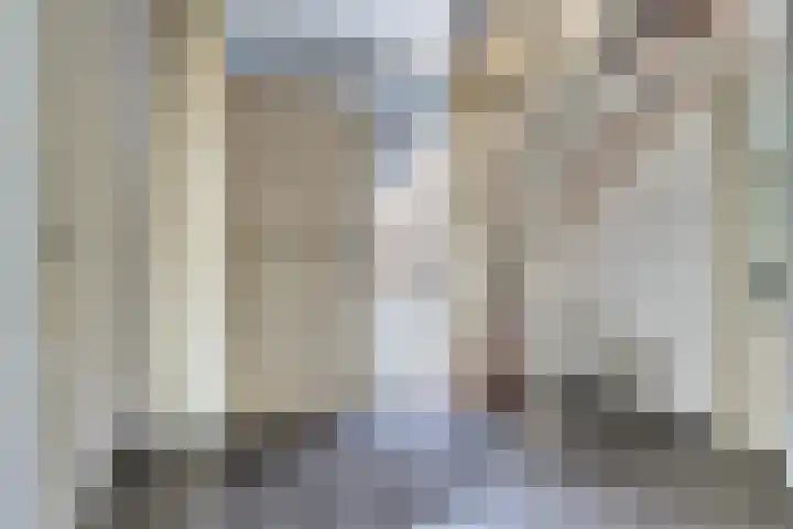 Bosschenhoofdseweg 8 Zegge thumbnail 13